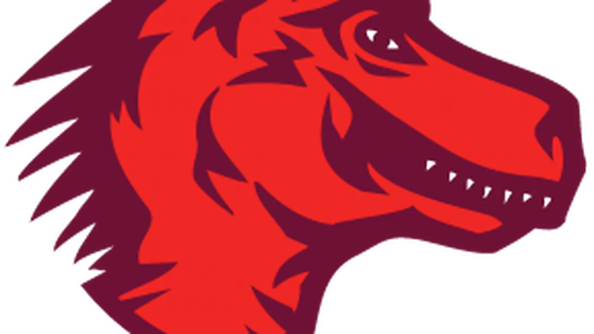 Boot to Gecko, un nou competitor pentru Chrome OS