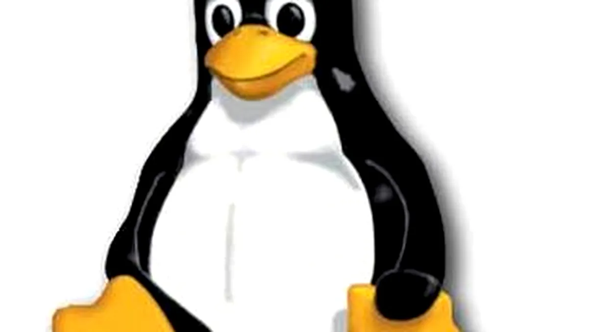 Linux aniverseaza astazi 20 de ani - La multi ani Linux! [+VIDEO]