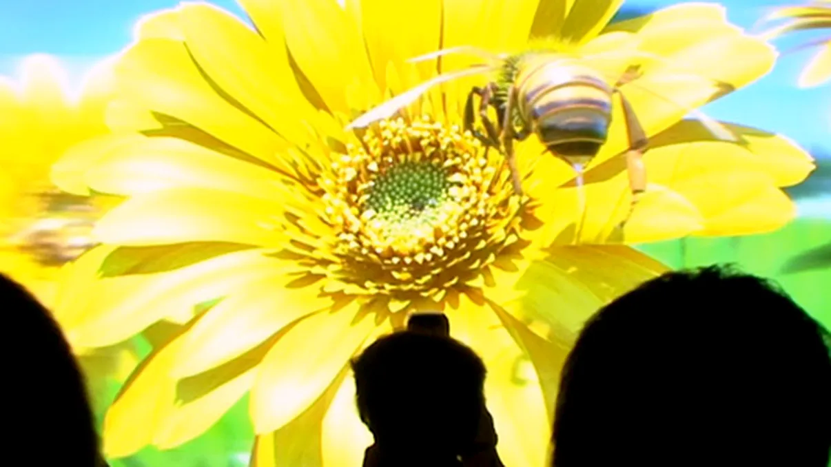 Cel mai mare display 3D din lume