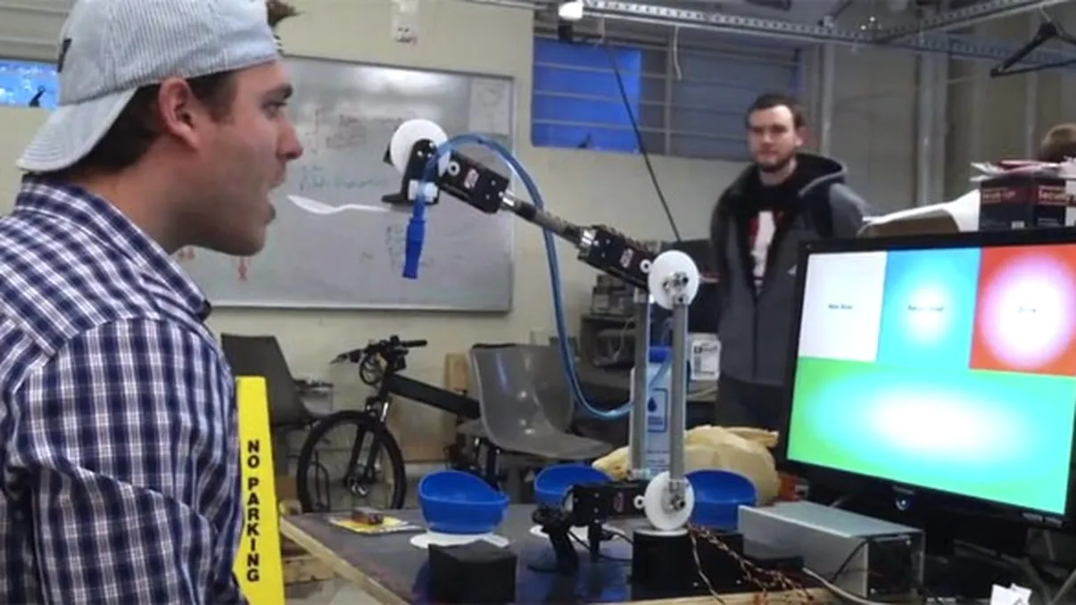 Ajutor pentru hranire: bratul robotic controlat vizual