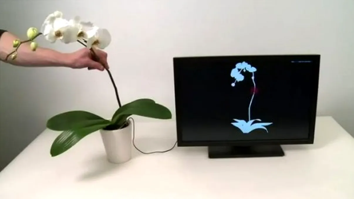 Cum ar fi sa-ti controlezi PC-ul... cu o planta? [+VIDEO]
