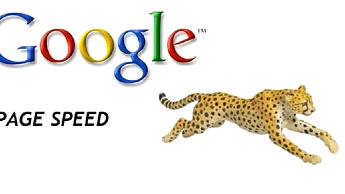 Serviciul PageSpeed de la Google a primit un update