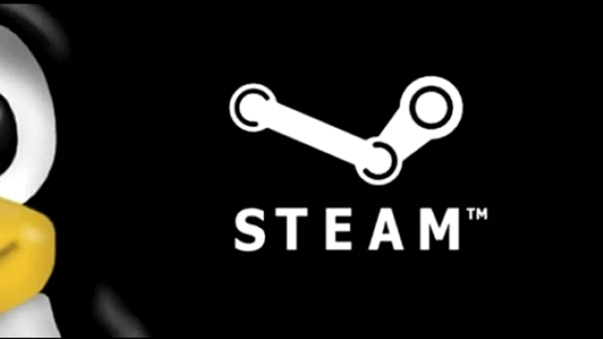 Steam pentru Linux intra in teste in octombrie