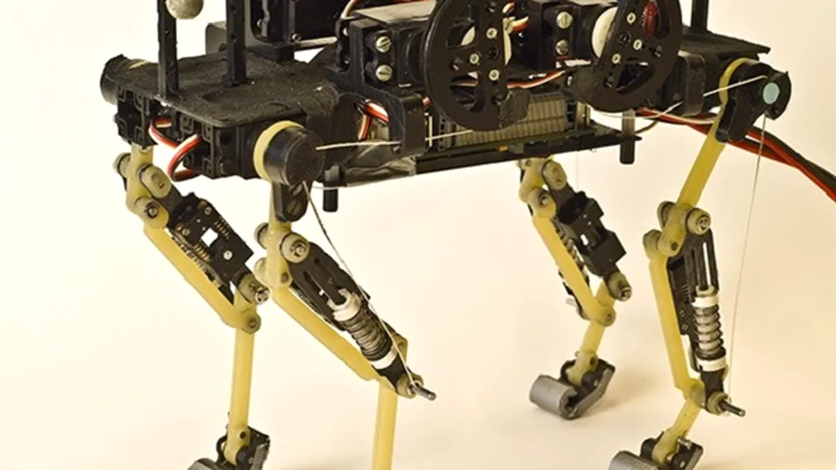 „Cheetah cub robot”, motanul elvetienilor de la Biorob