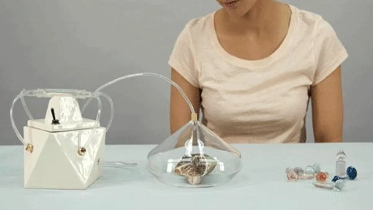 Mirosul amintirilor poate fi capturat cu Madeleine