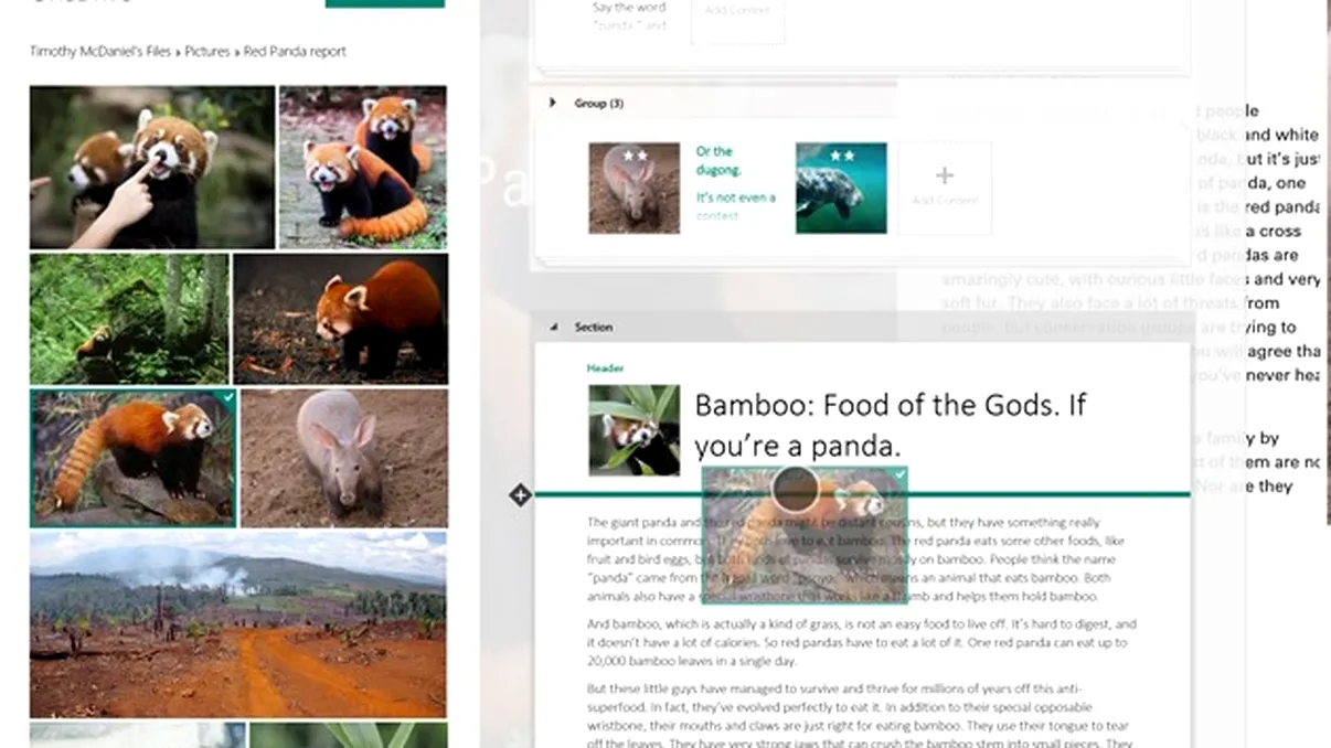 Microsoft Sway e o aplicaţie pentru altfel de prezentări digitale [VIDEO]