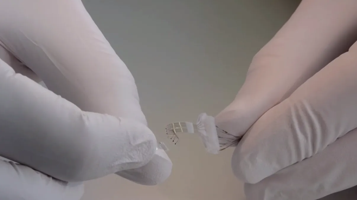 Implantul care ar putea reda mobilitatea persoanelor paralizate [VIDEO]