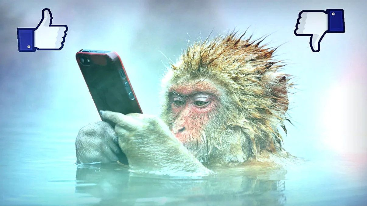 Generația cu „sânge albastru“: Ce am aflat când am renunțat la Facebook