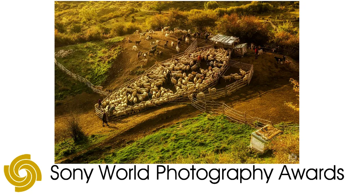 Un fotograf român, câștigător la Sony World Photography. 