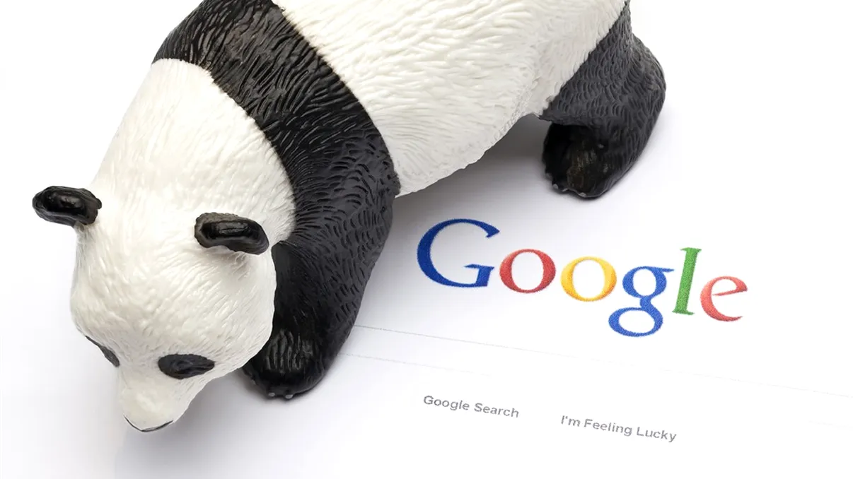 Google Panda aduce tot internetul și datele tale într-o jucărie inteligentă [VIDEO]