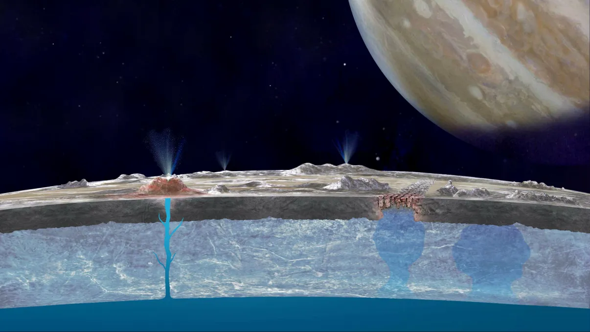 Un țipar robotic înfricoșător va căuta viață extraterestră în Univers