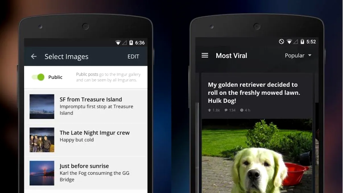 Aplicația pentru Android care îți pune la dispoziție GIF-uri și poze amuzante