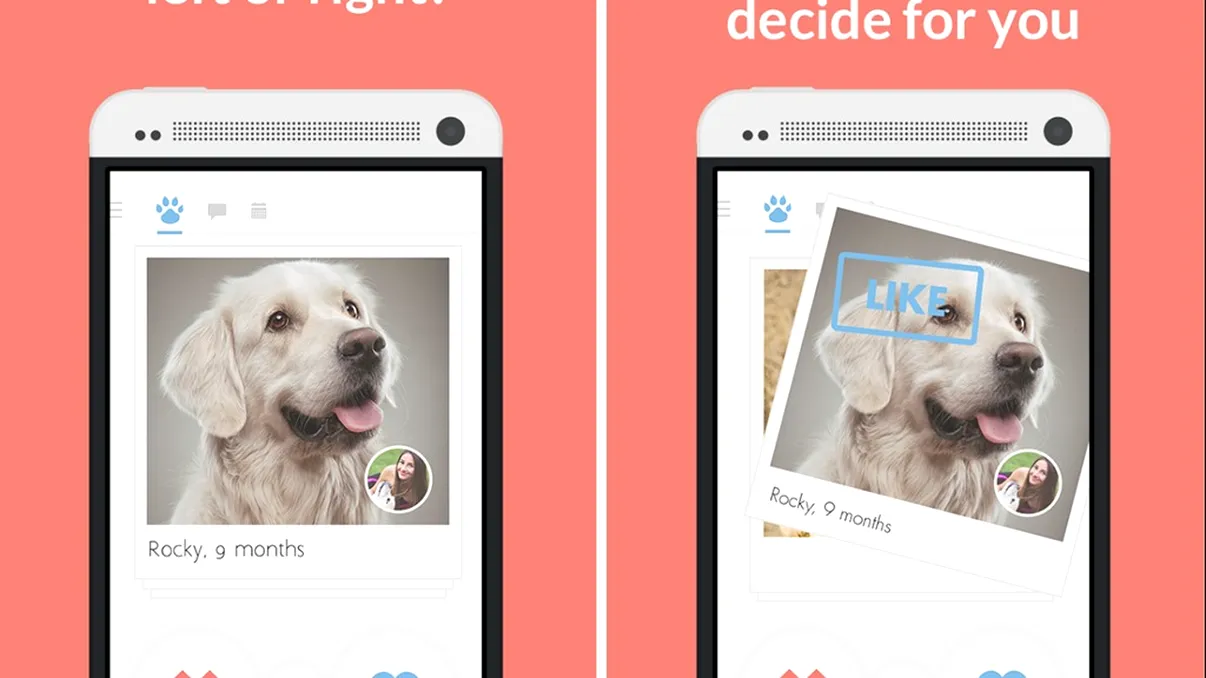 Cum îți poți folosi câinele ca să ”agăți” în această aplicație