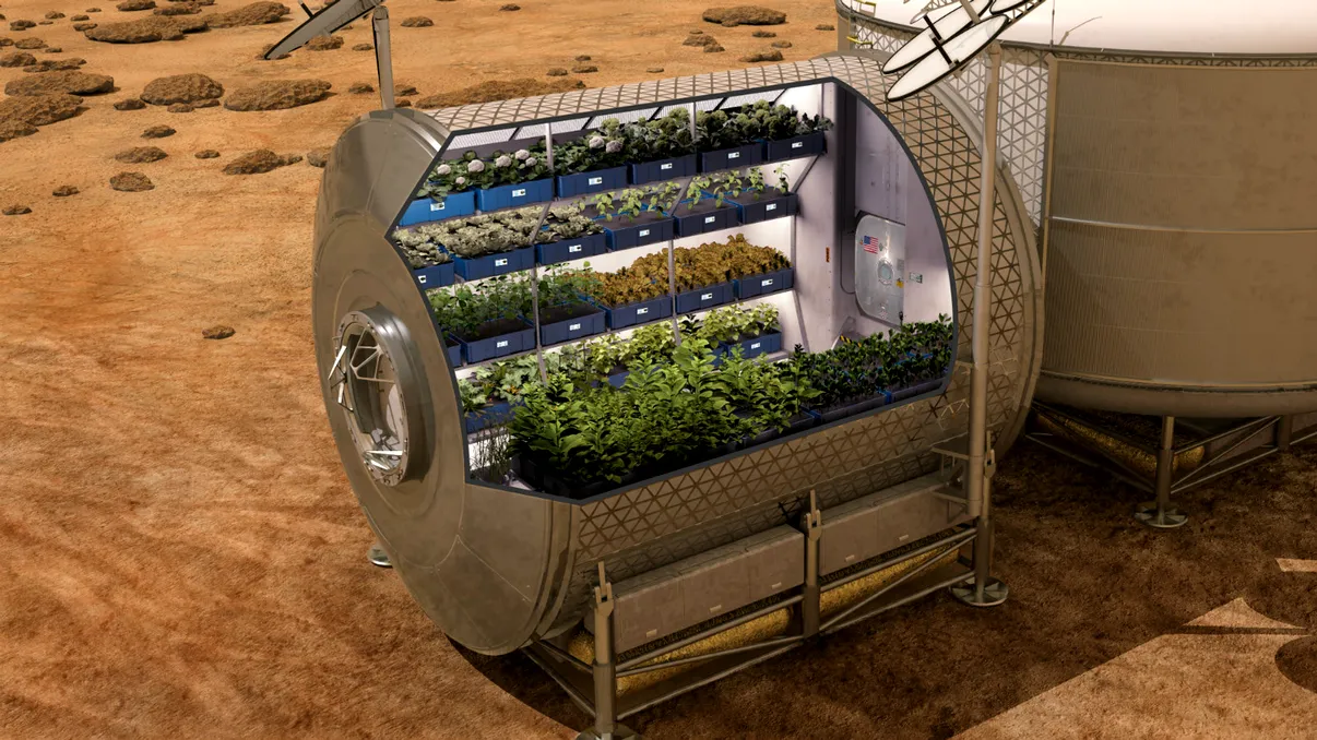 Astronauții renunță la conserve pentru salată făcută de ei