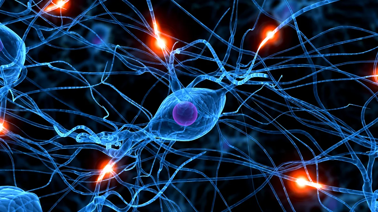 Imprimantele 3D i-ar putea ajuta pe cei ce suferă de paralizie