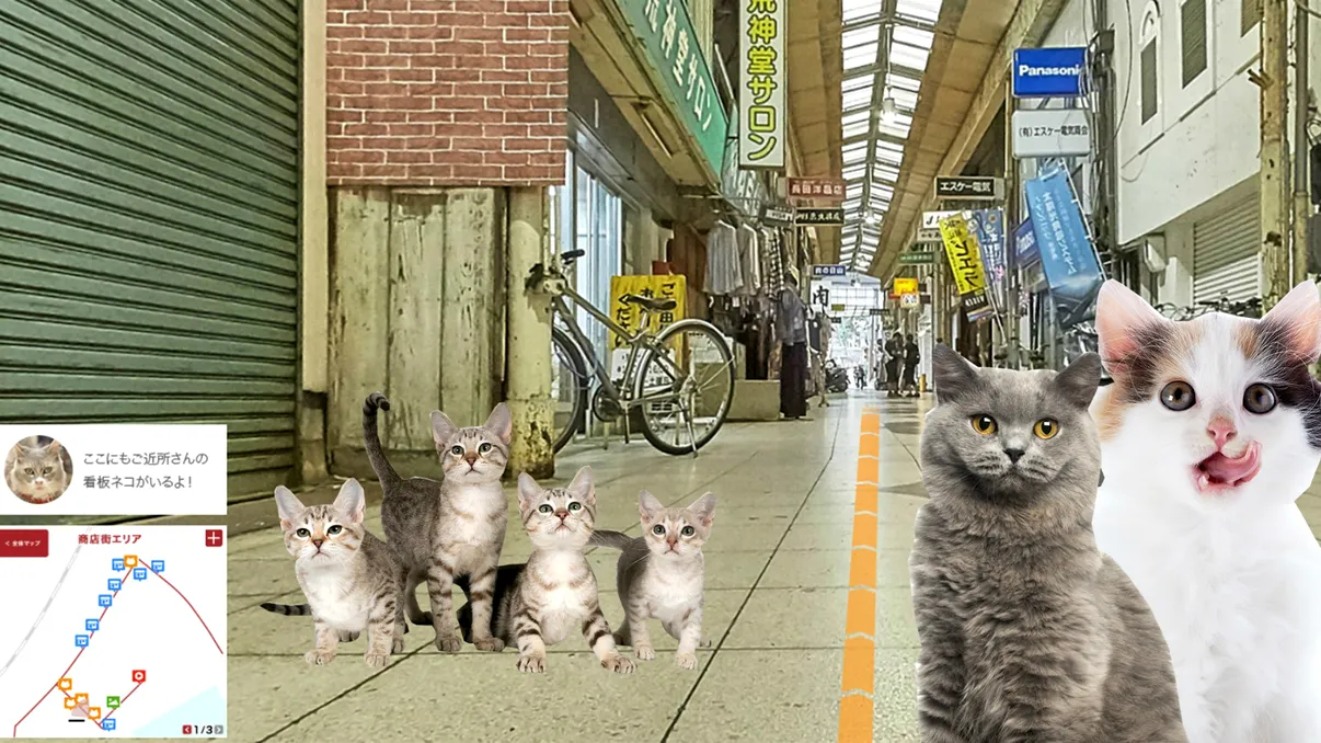 Aplicația care te lasă să vezi Japonia prin ochii unei pisici