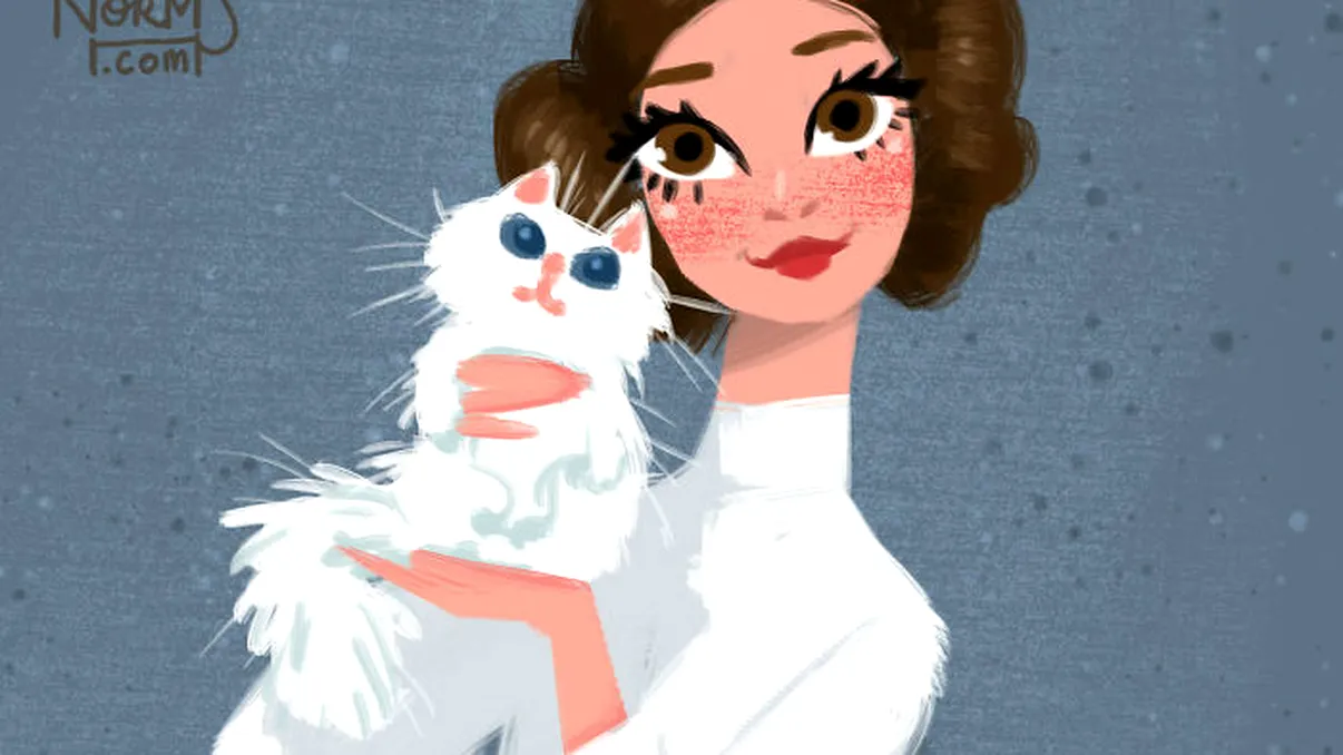 Cum ar arăta pisicile personajelor tale preferate din Star Wars