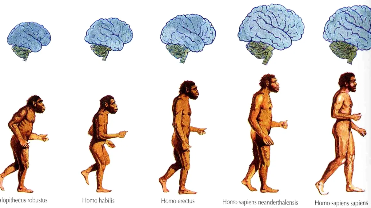 Lucruri care demonstrează că omul încă evoluează