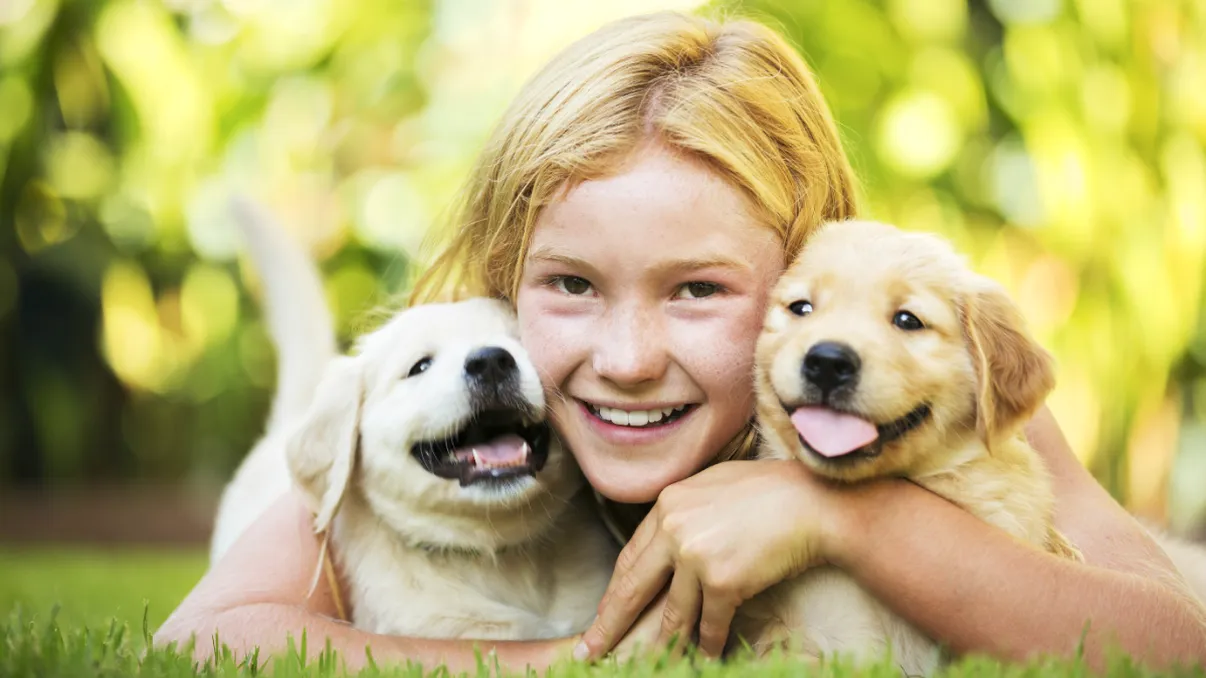 Cea mai simpatică inițiativă: Uber îți aduce la comandă cățeluși