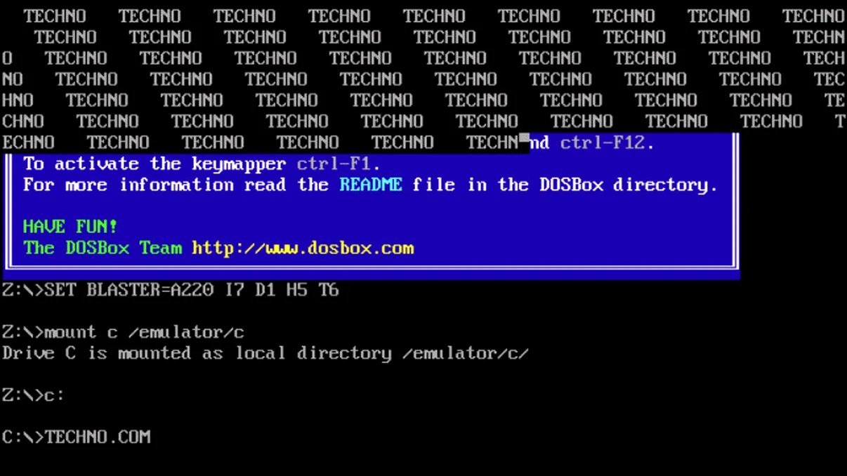 Simpli și eleganți. Vechii viruși pentru MS-DOS au ajuns într-un muzeu al virușilor