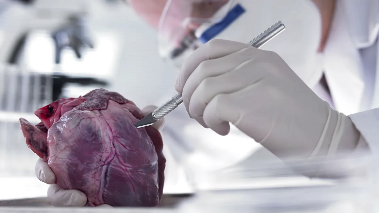 Bandajul-cyborg care poate 