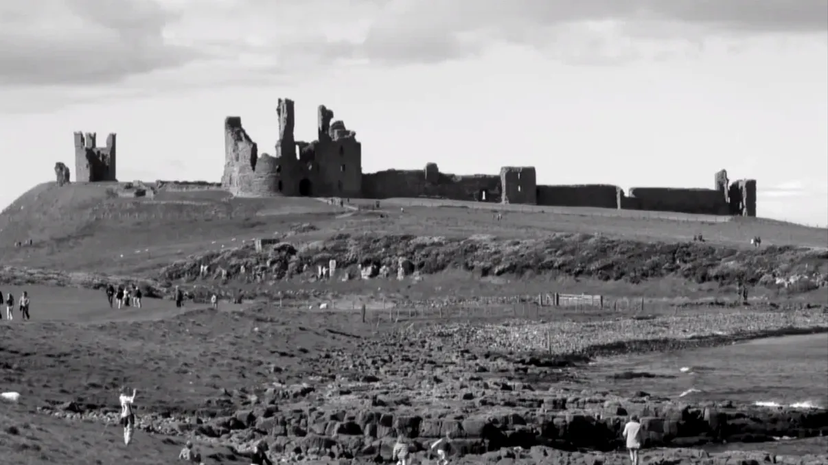 Această iluzie optică te va face să vezi o fotografie alb-negru în culori