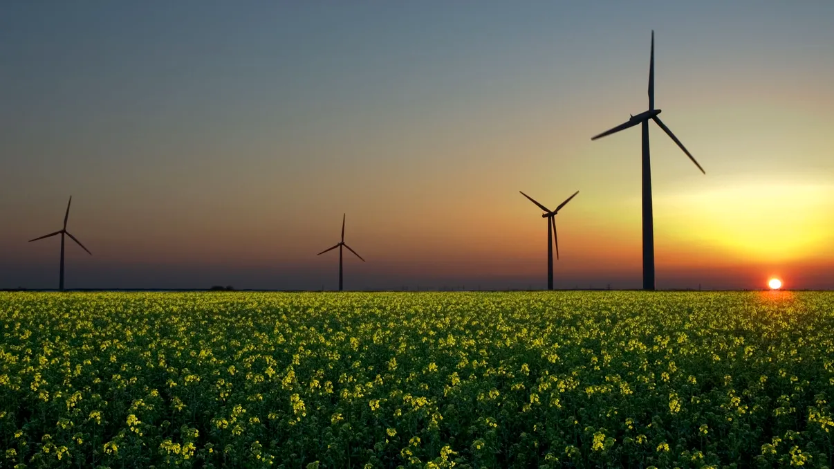 Serverele Google vor funcționa cu energie electrică de la Enel