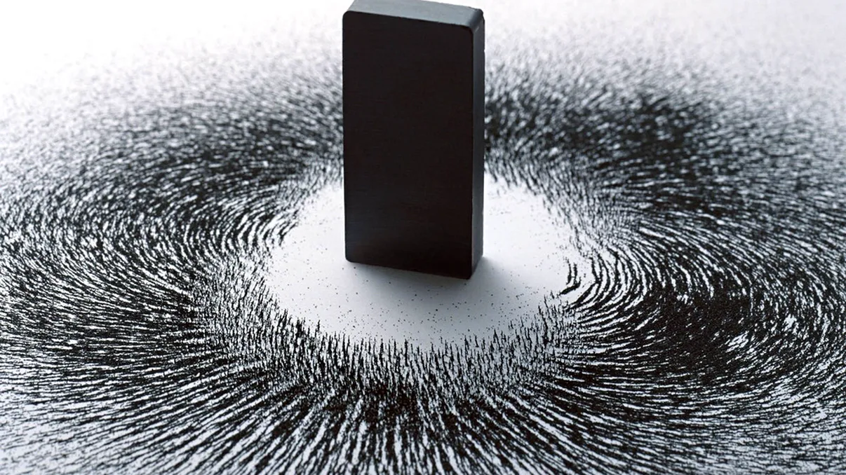 Doi elevi români studiază bacteriile magnetice care ar putea trata cancerul și elimina poluarea