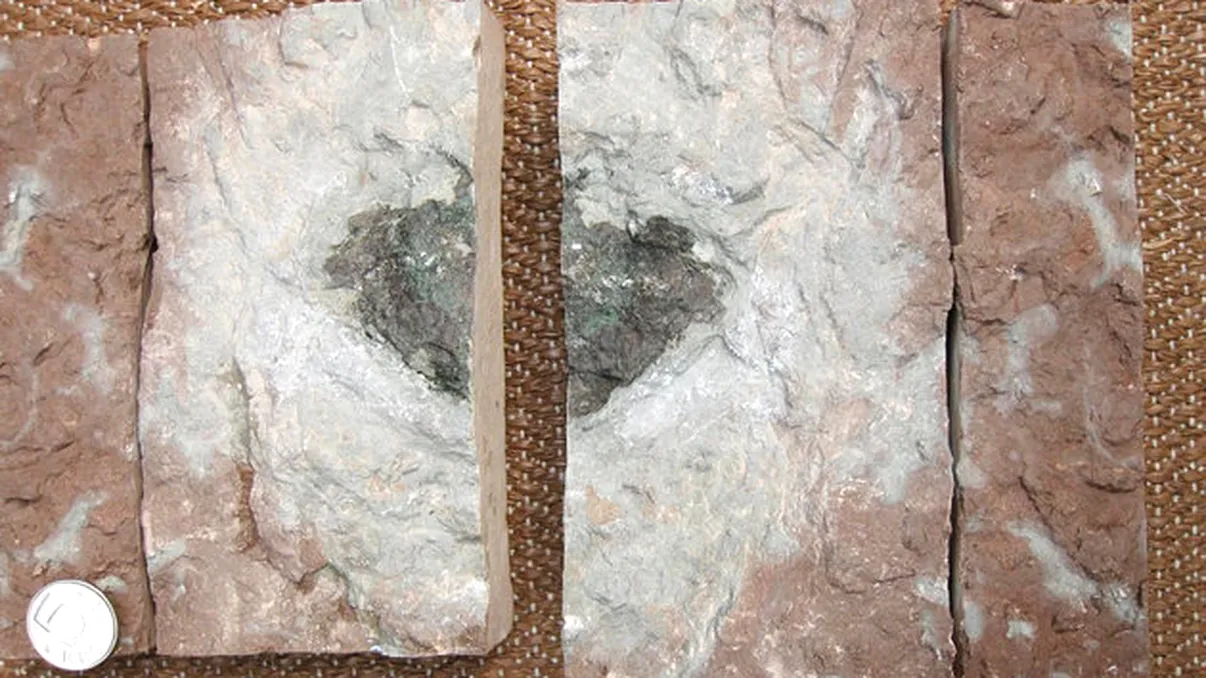 Această rocă extraterestră misterioasă ar putea rezolva misterele formării sistemului solar