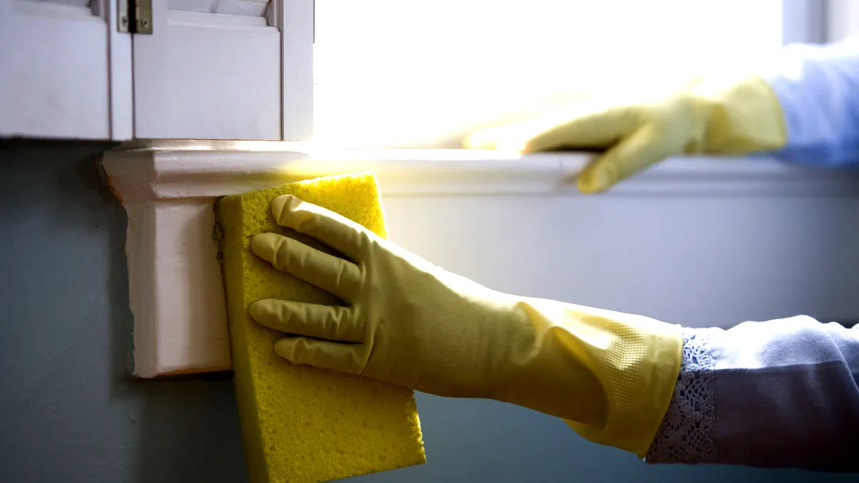 Șase obiecte banale despre care nu știai că-ți pot curăța locuința