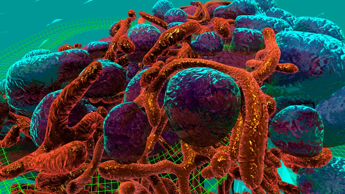 Realitatea virtuală permite oamenilor de știință să intre într-o celulă canceroasă