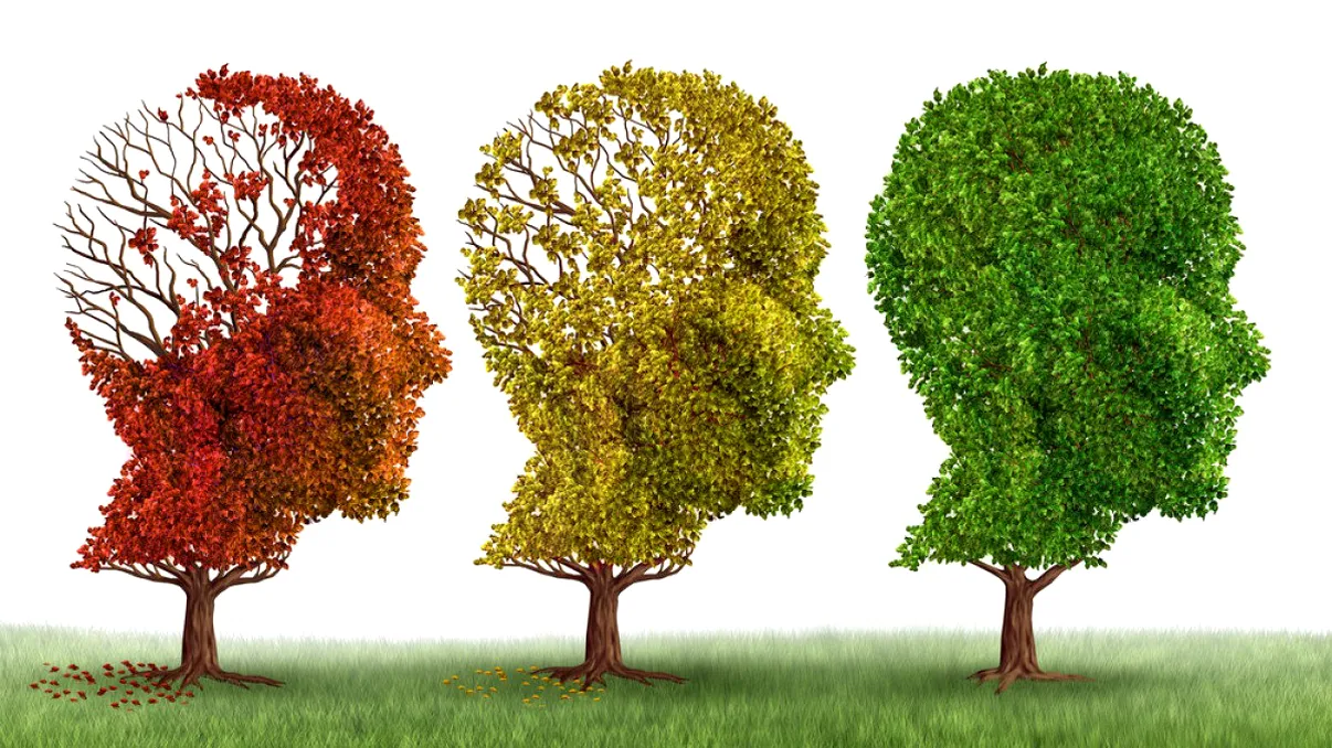 Noi medicamente combat boala Alzheimer cu succes