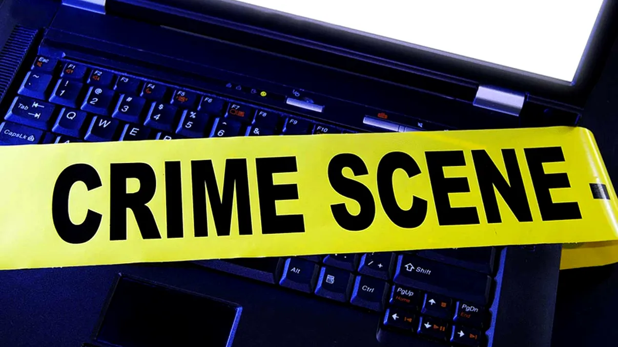 Au obținut șase milioane de dolari din pornografie piratată