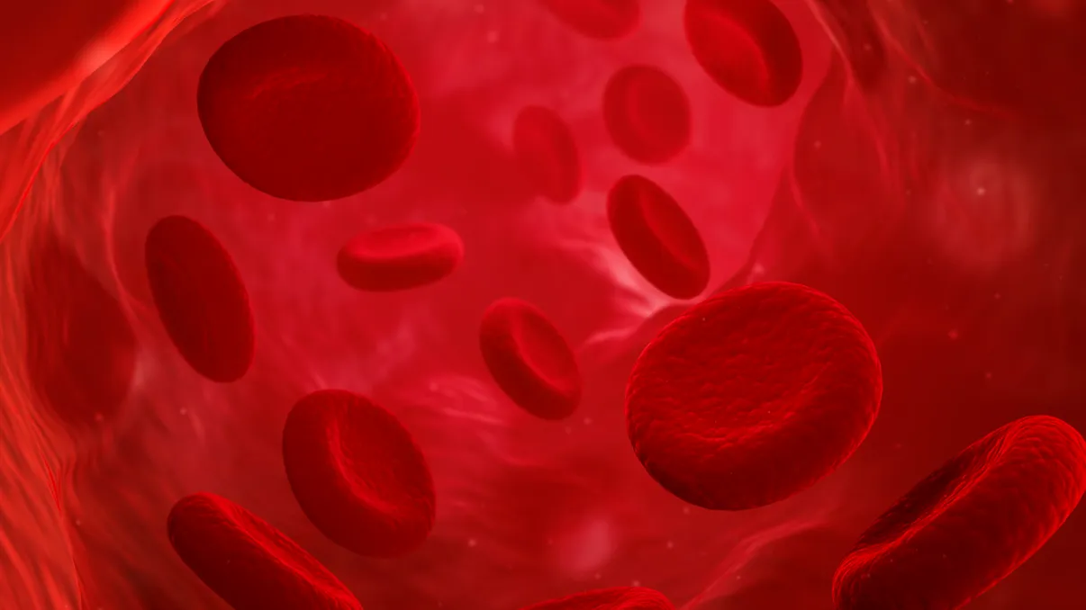 Sângele poate fi reîntinerit prin reprogramarea celulelor