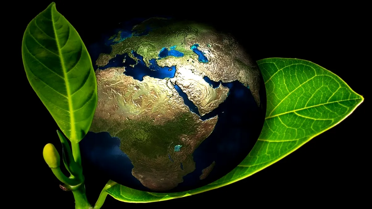 Frunza moleculară poate colecta energia solară în mod eficient