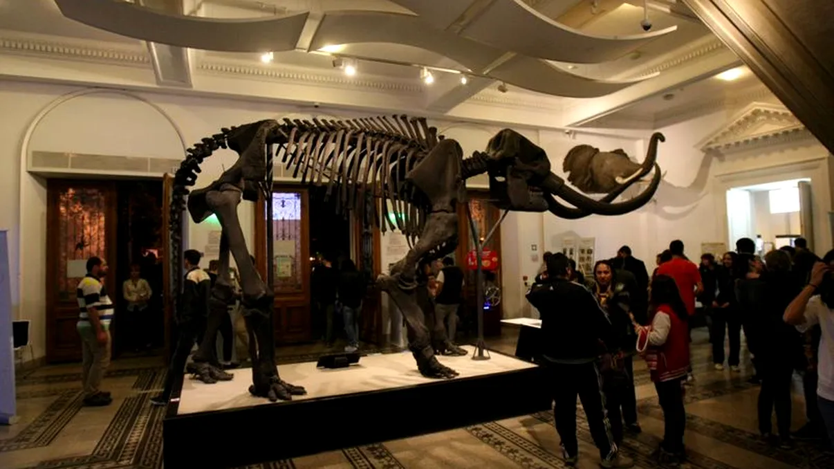 Noaptea Muzeelor 2017: când va avea loc ediția din acest an și care sunt expozițiile inedite pe care le poți vizita