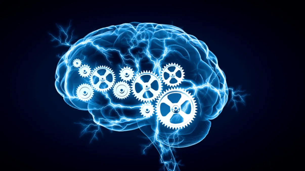 Care este legătura între lene și inteligență: ce spune activitatea ta zilnică despre tine