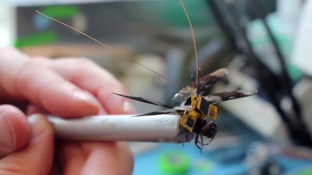 Libelula-robot își ia zborul și poate fi controlată de la distanță [VIDEO]