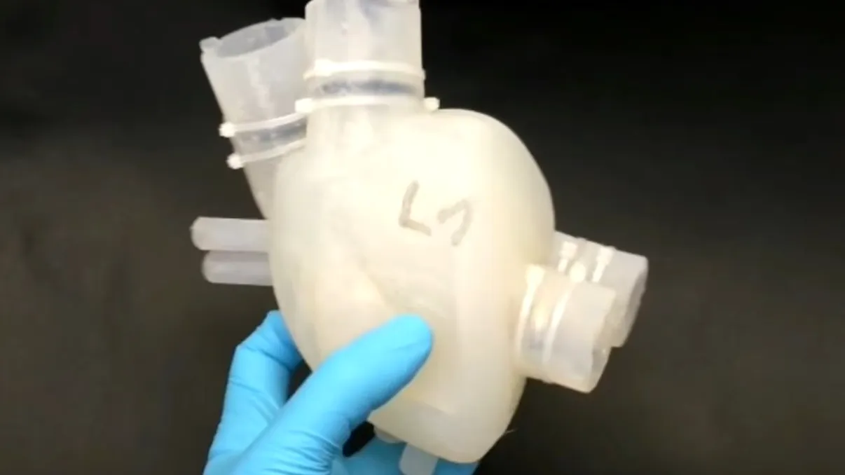 Cercetătorii au printat 3D o inimă care funcționează ca una reală