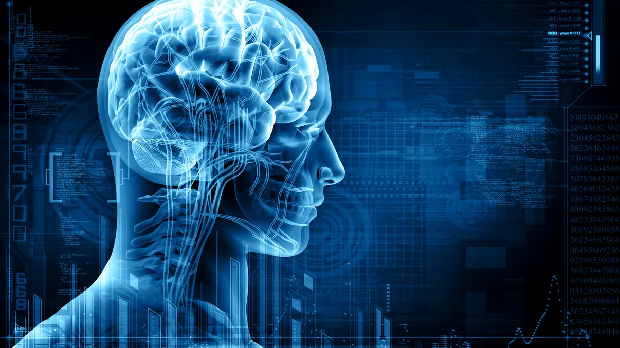 Creierul ținut în viață după moartea corpului ar însemna o durere insuportabilă