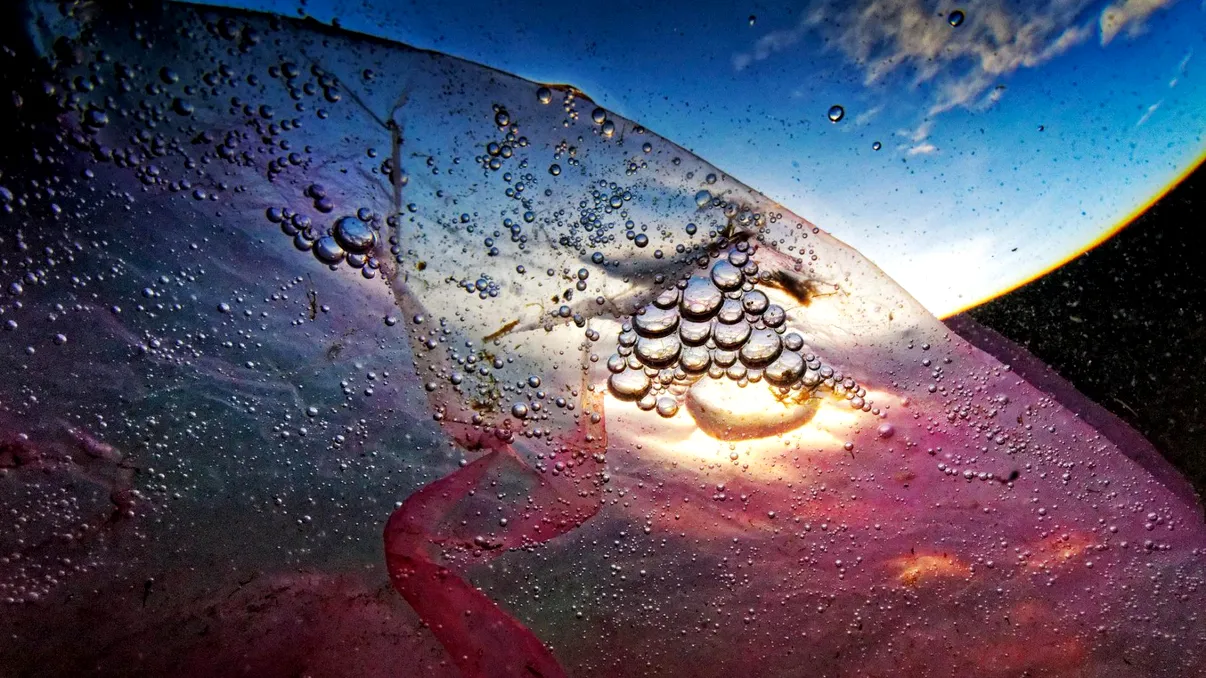 O pungă e în Groapa Marianelor. Ce trebuie să facem ca să oprim asta