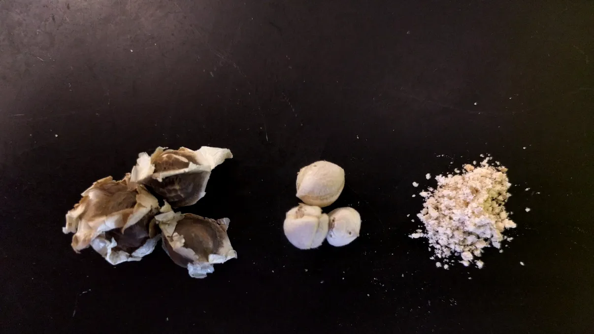 Cum ar putea fi obținută apa bună de băut din „piatră seacă”