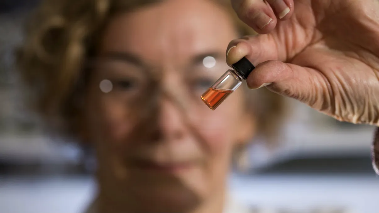 Cercetătorii au descoperit cele mai vechi culori din lume