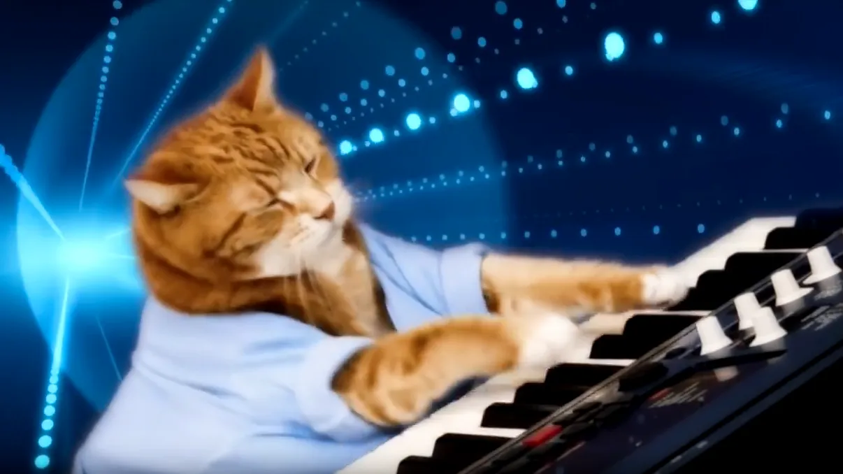 Cele mai tari clipuri virale de pe net cel mai probabil au pornit de aici