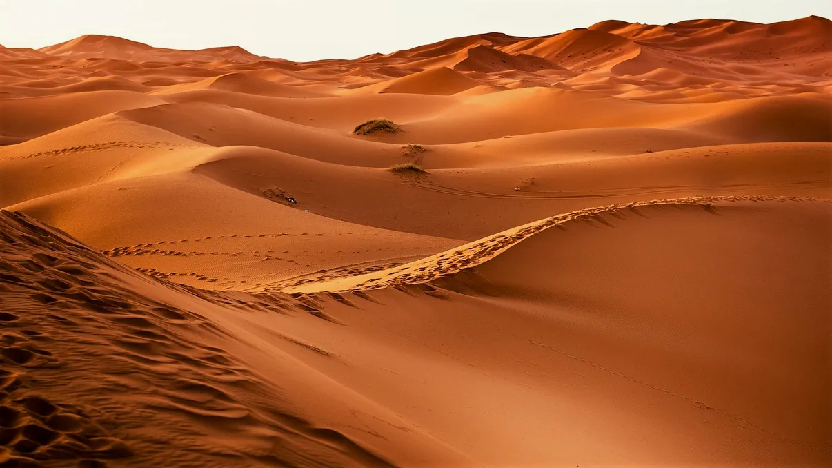 Cum ar putea deșertul Sahara să devină un fel de oază