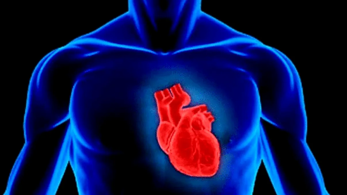 Manualul de biologie îți prostește copilul cu greșeli catastrofale