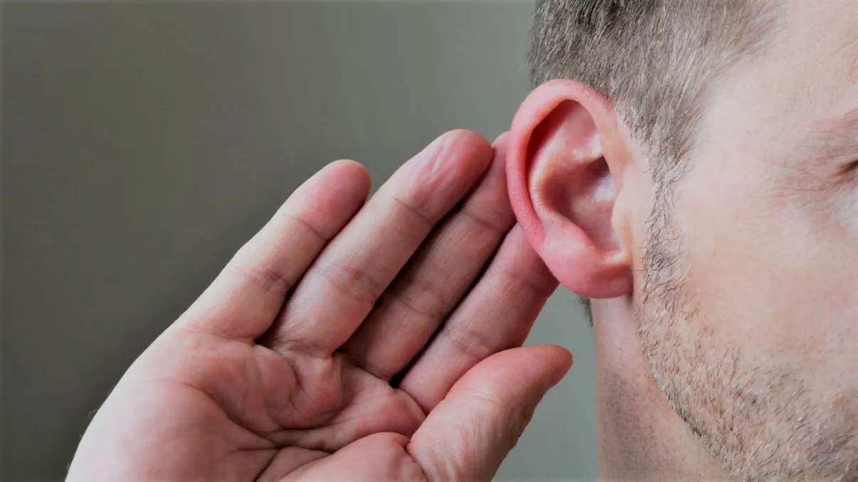 Descoperirea care ar putea aduce tratamente pentru pierderea auzului