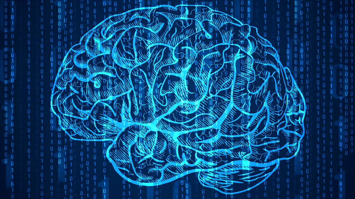 Descoperire neașteptată: creiere crescute în laborator care prezintă activitate cerebrală