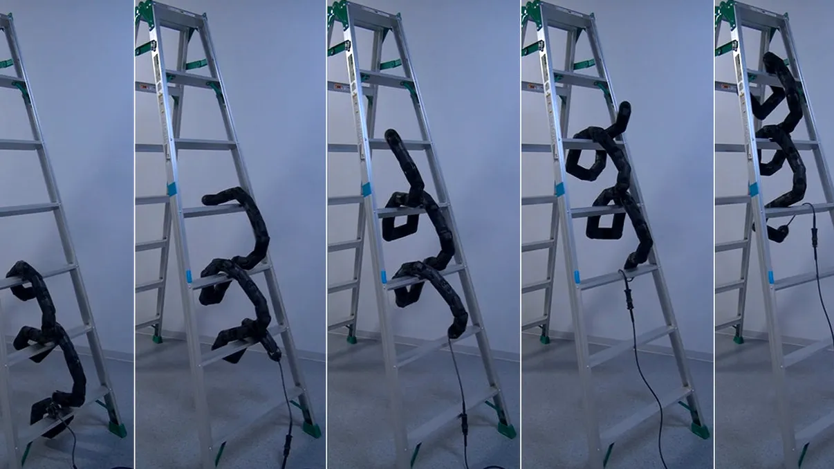Șarpele-robot terifiant care poate urca oriunde fără știrea omului