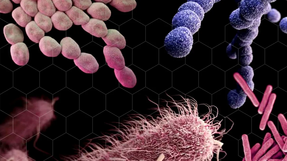 Prima linie de apărare a bebelușului: Cum Bifidobacterium longum ajută la protejarea sănătății din prima zi de viață, conform specialiștilor